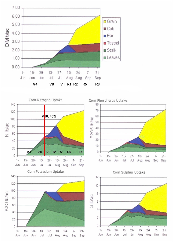 Corn Nitrogen Use Chart