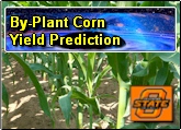 By-Plant Yield Prediction in Corn Production Systems