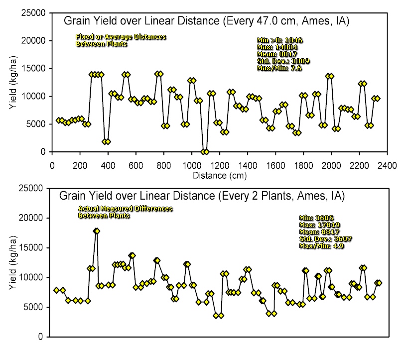 Fixed Distances or Actual Distances for the Computation of Corn Grain Yield and by-plant Variability