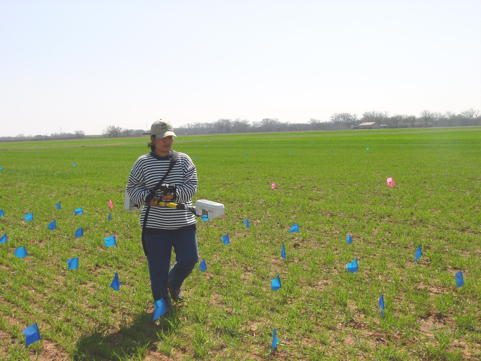 Resolution Trials, Winter Wheat