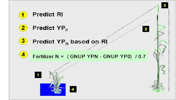 Algorithm, OSU