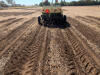 Hennessey Bed Planting