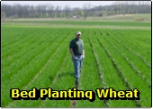 Bed Planting Wheat