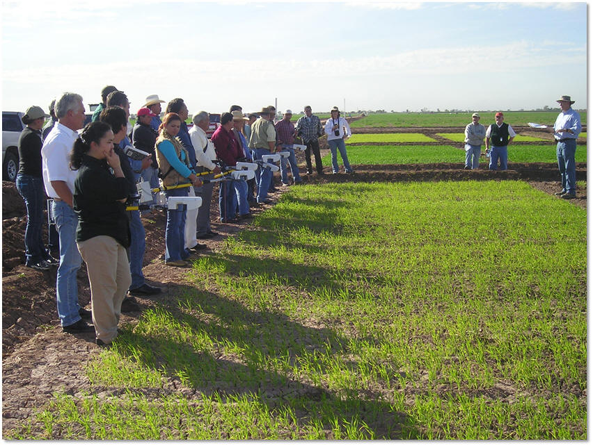 Dr. Ivan Ortiz-Monasterio conducts GreenSeeker training in Ciudad Obregon