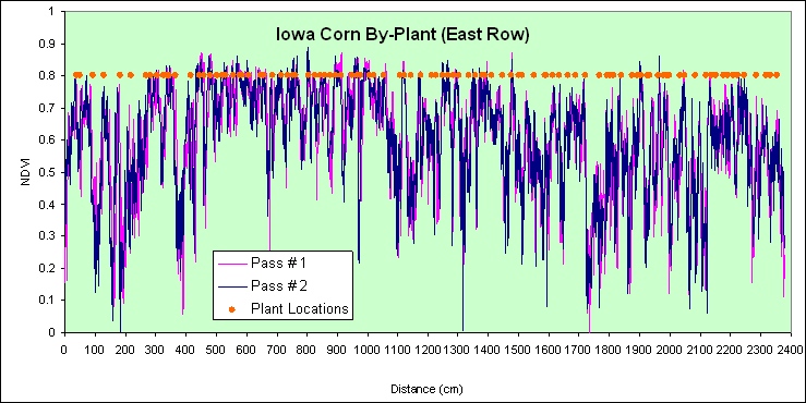 by-plant variability in corn, Ames, IA