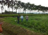 CIAT CIMMYT Greenseeker training