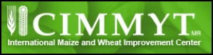 CIMMYT