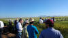 CIMMYT, 2016, Ciudad Obregon, Oklahoma State University Student