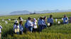 CIMMYT, 2016, Ciudad Obregon, Oklahoma State University Student