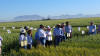 CIMMYT, 2016, Ciudad Obregon, Oklahoma State University Student