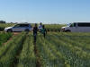 CIMMYT, 2016, Ciudad Obregon, Oklahoma State University Student