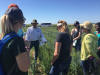 CIMMYT, 2016, Ciudad Obregon, Oklahoma State University Students