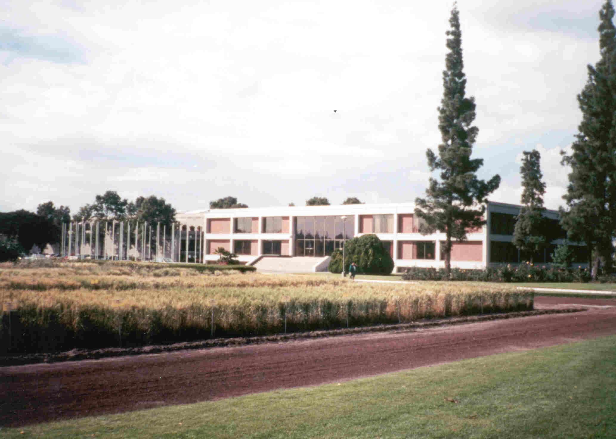 CIMMYT HQ