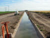 CIMMYT Ciudad Obregon OSU