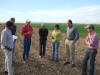 CIMMYT Ciudad Obregon OSU