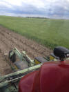 Wheat rust, Nebraska