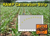Ramp Calibration Strips for improved mid-season fertilizer N rate recommendations 