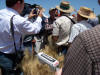 CIMMYT, Norman Borlaug, GreenSeeker