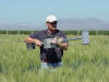 CIMMYT, Ciudad Obregon, Hand Held