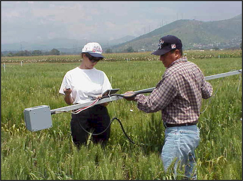 CIMMYT El Batan, sensors