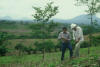 El Salvador Maize no-till