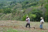 new age OSU hand planter in El Salvador