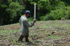 El Salvador, Greenseeder Hand Planter, Oklahoma State University