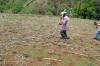 El Salvador, Greenseeder Hand Planter, Oklahoma State University