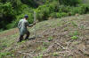 El Salvador, hand planting, 2017