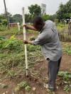 Ghana, OSU Hand Planter
