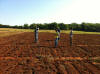 Hand Planter Trial 2013