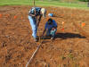 Hand Planter Trial, Efaw, Oklahoma