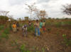 Uganda, hand planting