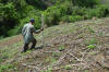 new age OSU hand planter in El Salvador