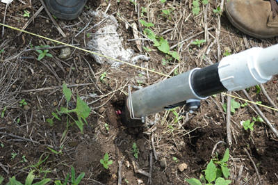 El Salvador Bean Planting