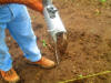 Planting, El Salvador