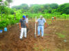 Planting El Salvador