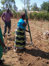 Rwanda OSU Hand Planter
