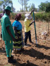 Rwanda, OSU Hand Planter