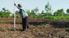 Uganda hand planter 