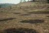 burning maize residue, El Salvador