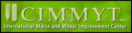 CIMMYT