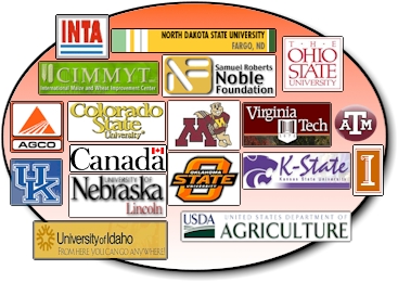 Regional Trial Planned for 2004 to improve Nitrogen Use Efficiency in Corn