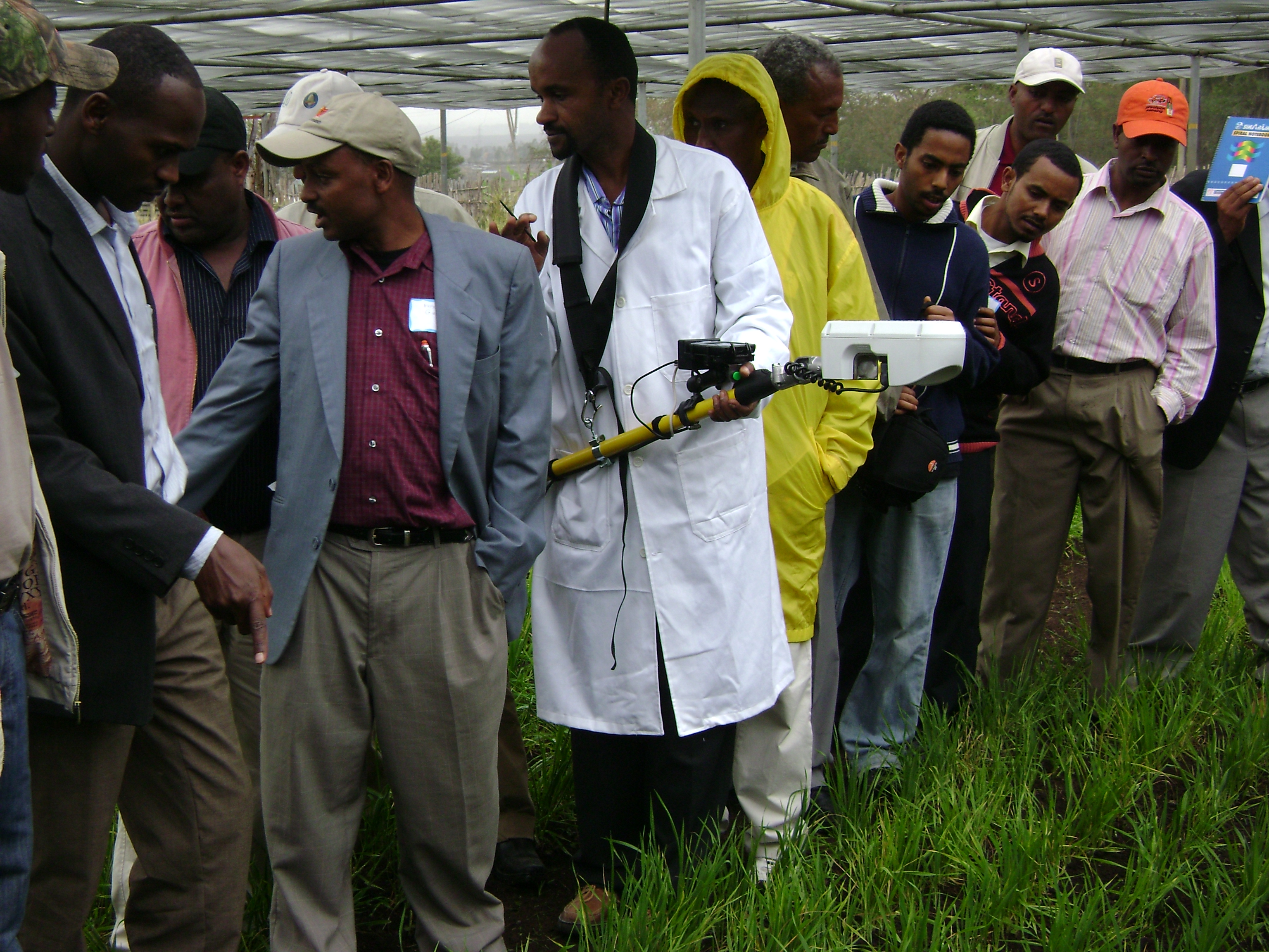 Use of GreenSeeker Sensors in Africa