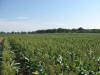 Lake Carl Blackwell Irrigation Research, Oklahoma State University