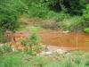 Lake Carl Blackwell, Corn Research, Oklahoma State University