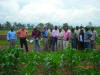 Zimbabwe GreenSeeker Training, Cody Daft, Pat Wall