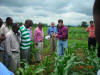 Zimbabwe GreenSeeker Training, Cody Daft, Pat Wall