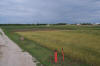 Magruder Plots, Long Term winter wheat experiment 1892