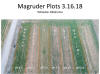 Magruder Soil pH, 2018